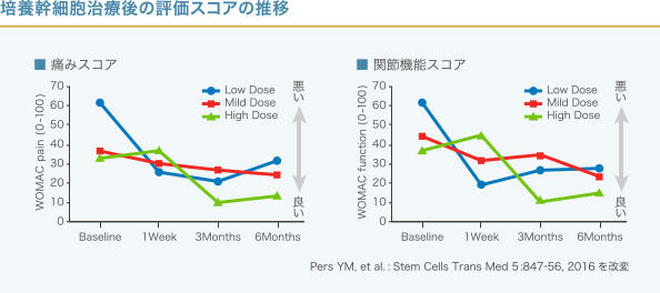 培養幹細胞治療後の評価スコアグラフ